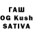 Галлюциногенные грибы GOLDEN TEACHER Elvi Vainonen