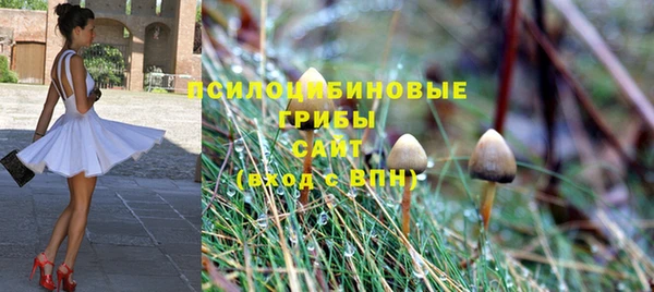 прущие грибы Балахна
