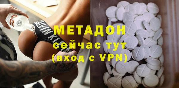 прущие грибы Балахна