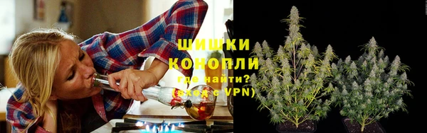 прущие грибы Балахна