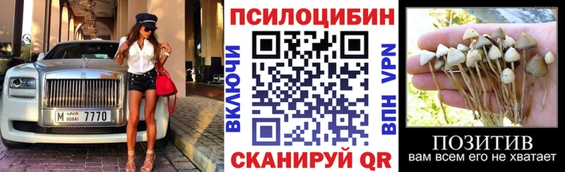 Галлюциногенные грибы прущие грибы  наркошоп  Болохово 