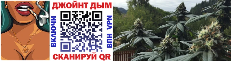 Каннабис планчик  даркнет телеграм  Болохово 